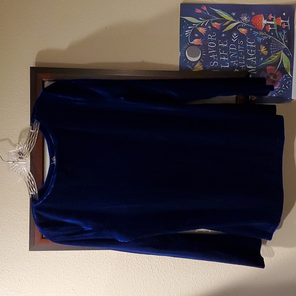 Blue Velvet Sapphire Rhinestone Top by Bob Mackie - Picture 5 of 5